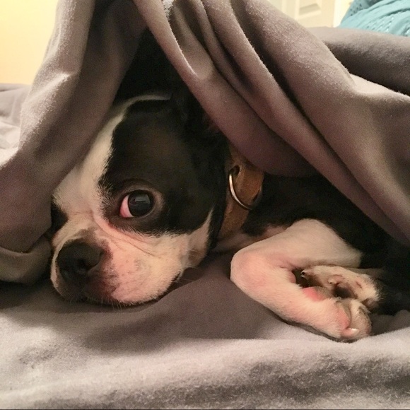 Hi Iโm Melinda! ๐ - Picture 4 of 9